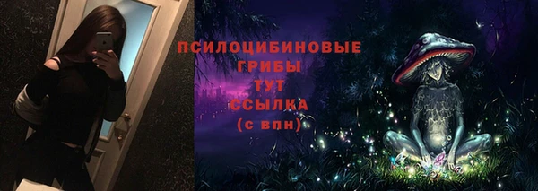 спиды Алексин