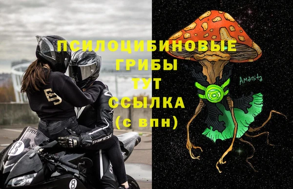 спиды Алексин