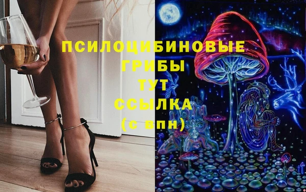 спиды Алексин
