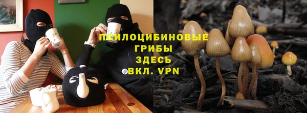 спиды Алексин
